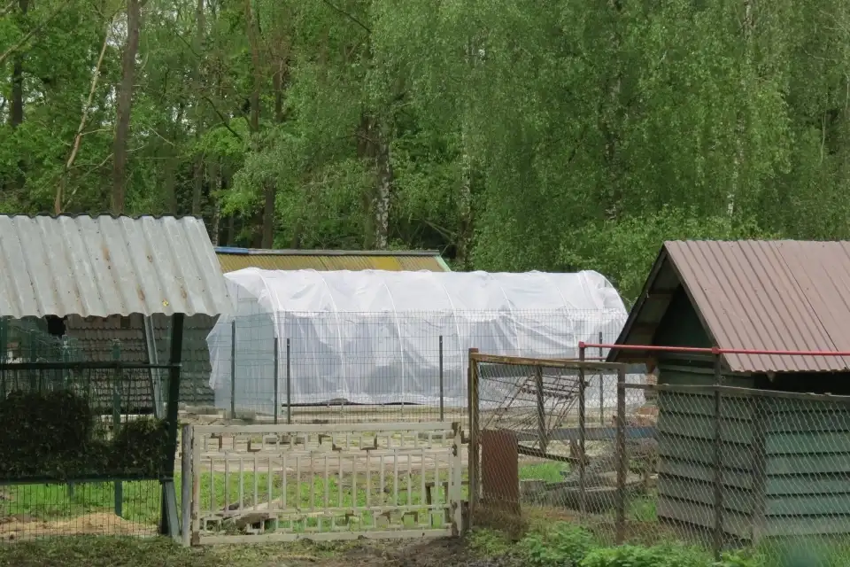 У тернопільському гідропарку зводять теплицю для міської ферми: проєкт фінансують міжнародні донори