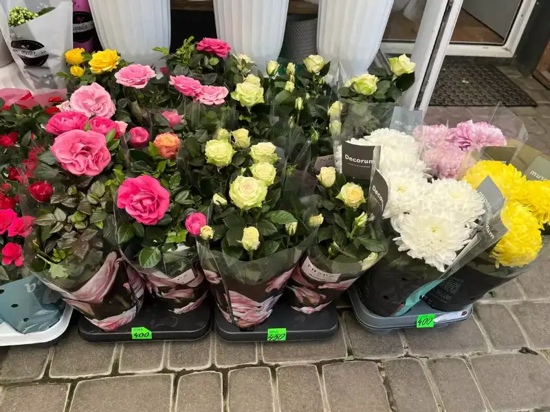 Скільки коштує вшанувати пам’ять: ціни на квіти та лампадки до Провідної неділі у Тернополі
