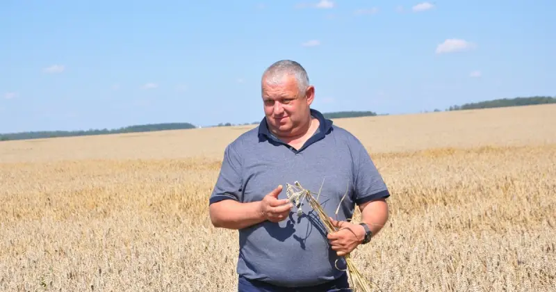 Довіра» на хлібному фронті: як агропідприємство з Чортківщини тримає удар і будує «європейське село»
